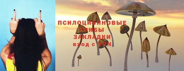 эйфоретик Арсеньев