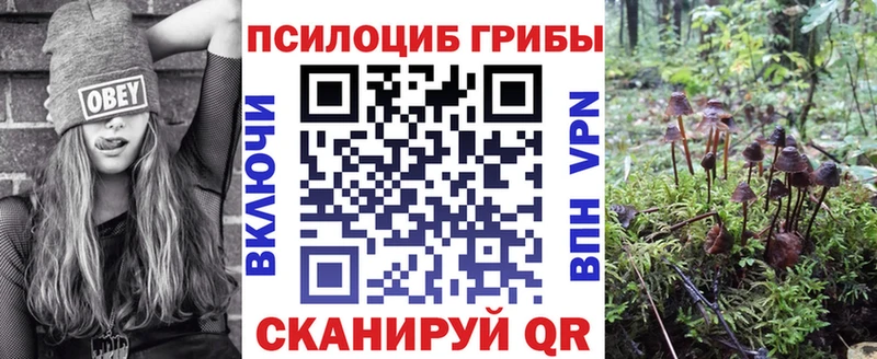 Галлюциногенные грибы прущие грибы МЕГА ONION Белокуриха